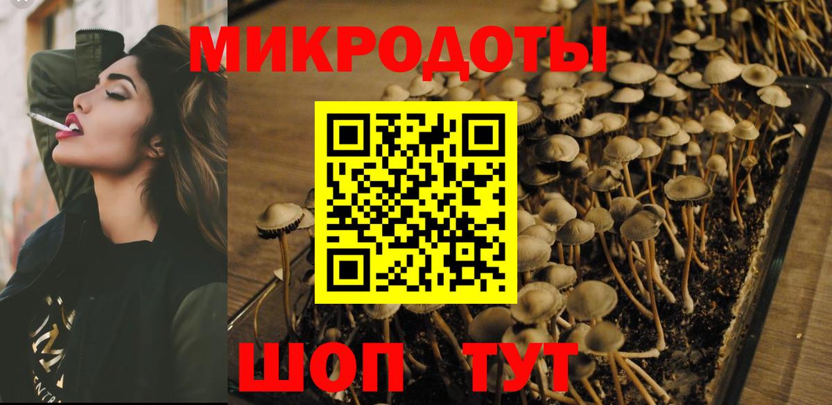 Псилоцибиновые грибы ЛСД  Вход с VPN  Кисловодск 