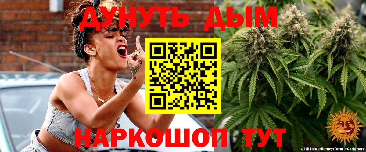 Марихуана семена  Бошки марихуана сатива  Вход с VPN  МАРИХУАНА сатива  Кисловодск 